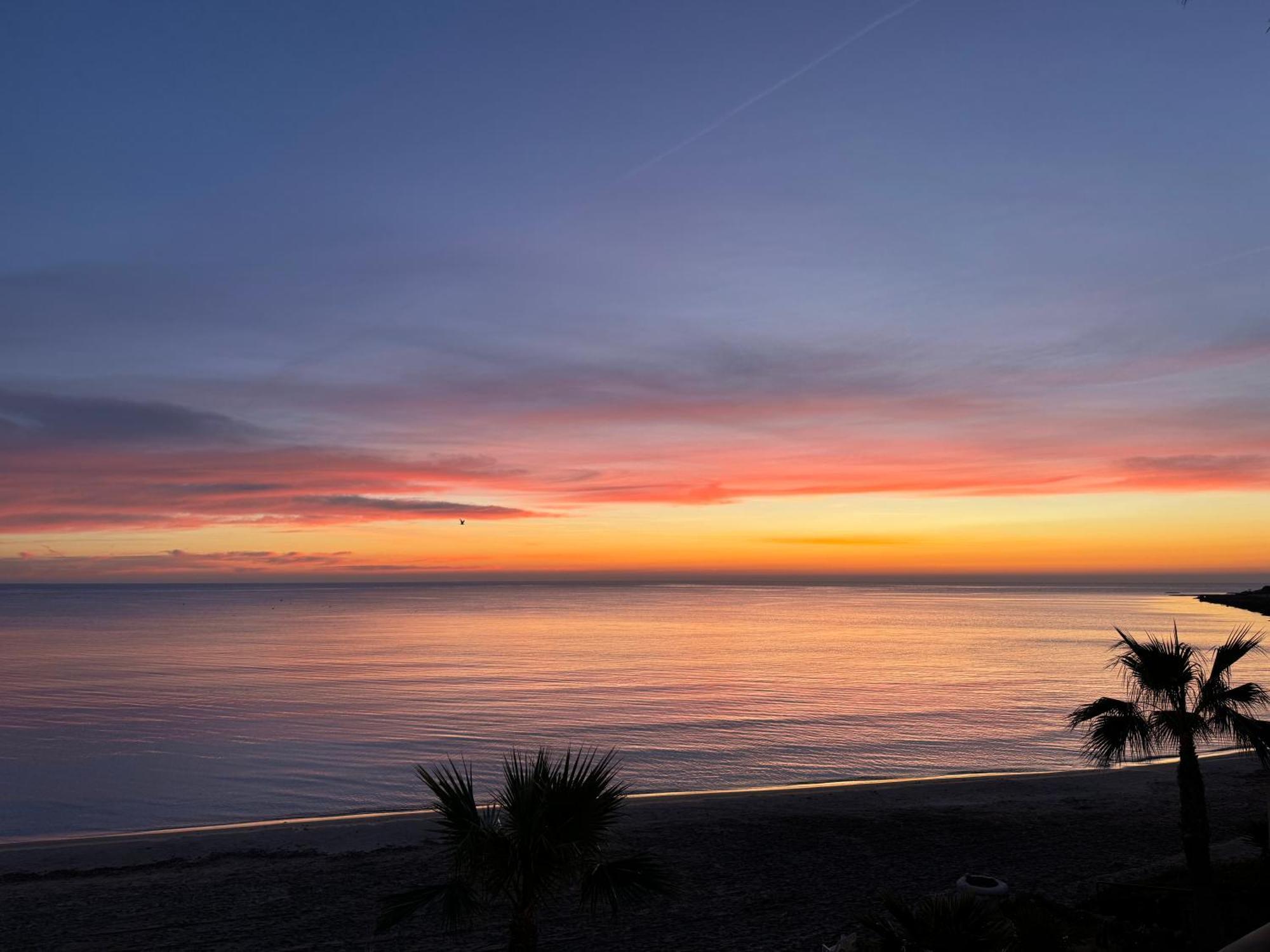 Espectacular Apartamento A Pie De Playa En Chalet Roquetes Alicante Buitenkant foto